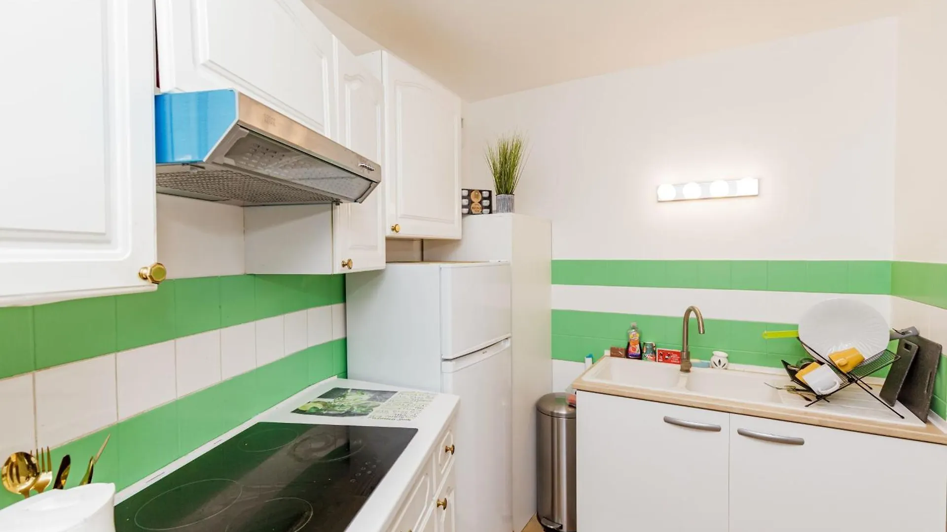 Apartment Near Buttes Chaumont Paris
